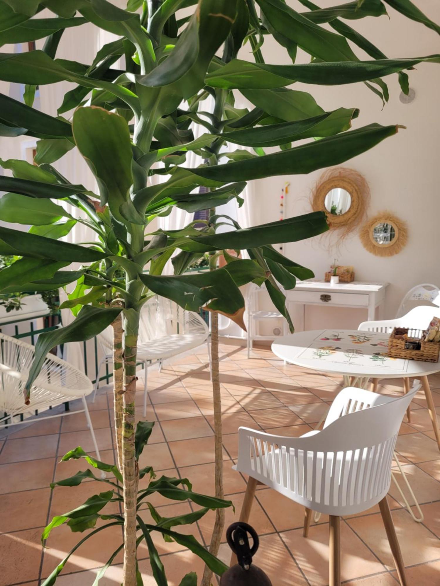 B&B Dal Nonno Riva del Garda Exteriér fotografie